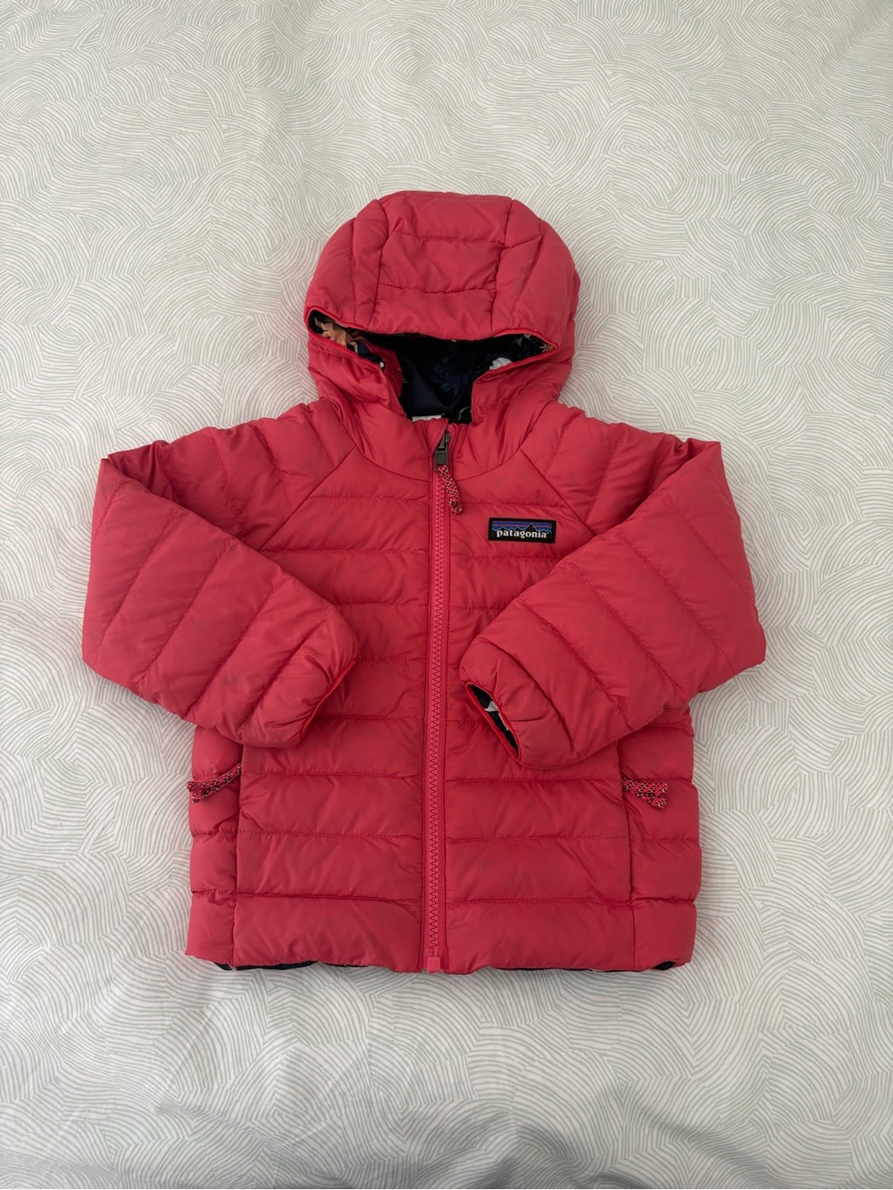 Patagonia Reversible Down Hoody